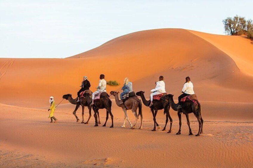 3 Days Luxury Desert Tour From Fes To Marrakech via Merzouga