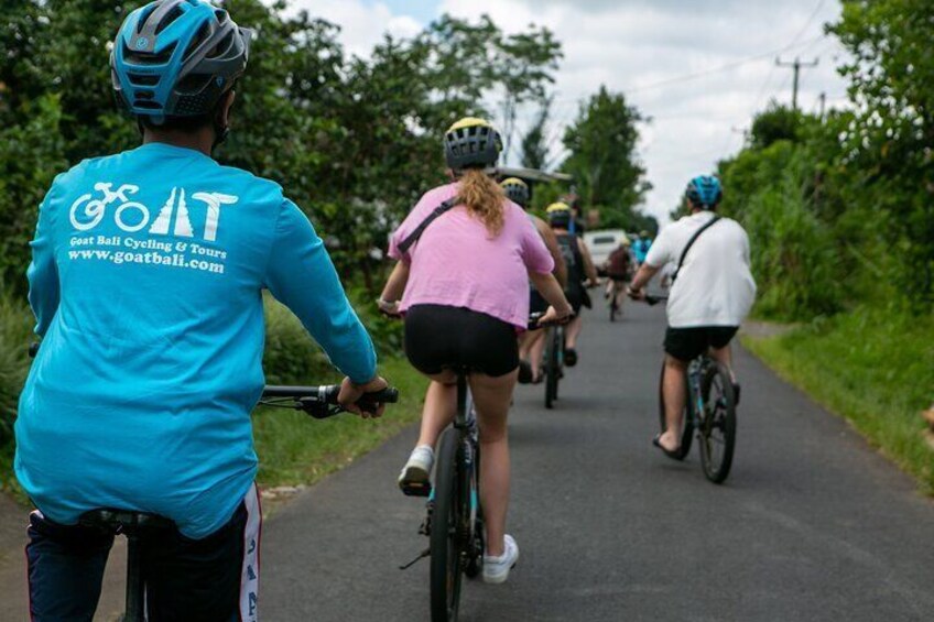Ubud: Downhill Cycling with Volcano, Rice Terraces and Meal