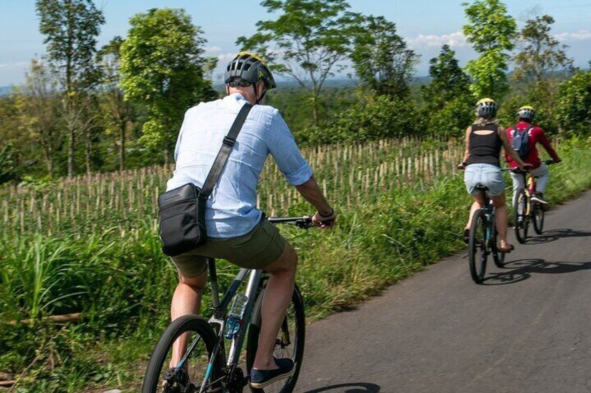 Ubud: Downhill Cycling with Volcano, Rice Terraces and Meal