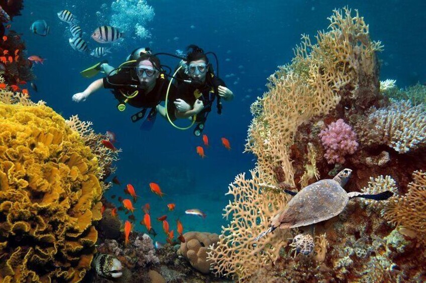 Alanya Scuba Diving Tour