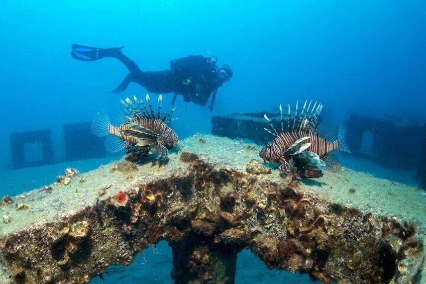 Alanya Scuba Diving Tour