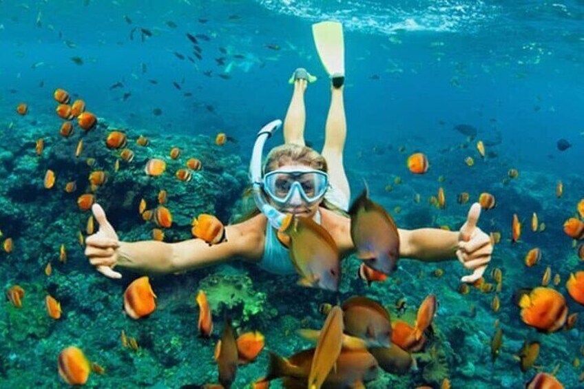 Snorkelling