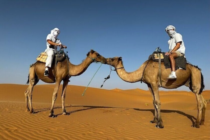 2 Days Luxury Magic Morocco Desert Tour From Fes To Fes