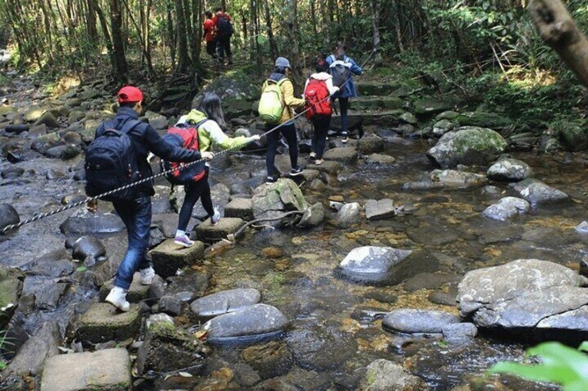 Bach Ma National Park Trekking Tour 1 Day From Hue City