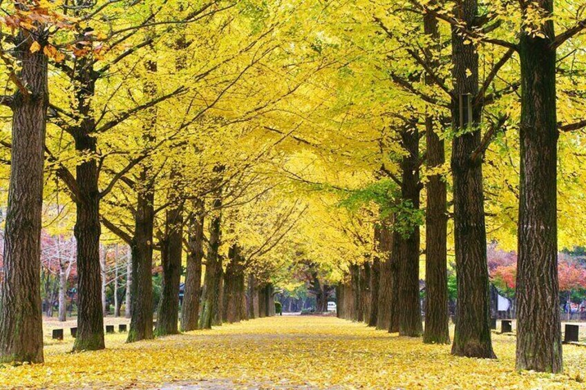 Nami Island