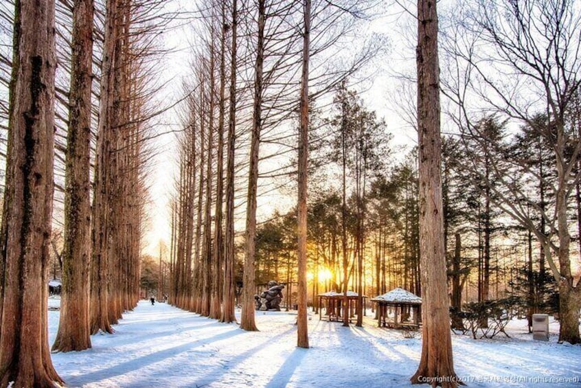 Nami Island