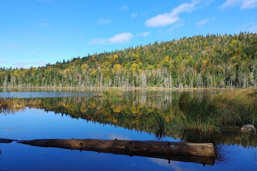 Scenic Hiking Adventure at Mont-Orford National Park