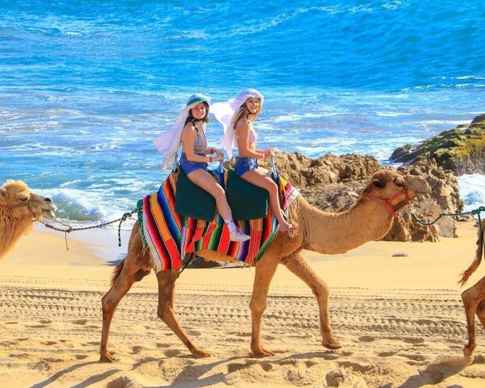 Picture 5 for Activity Cabo San Lucas: Camel Ride & Off-Road UTV Combo Adventure