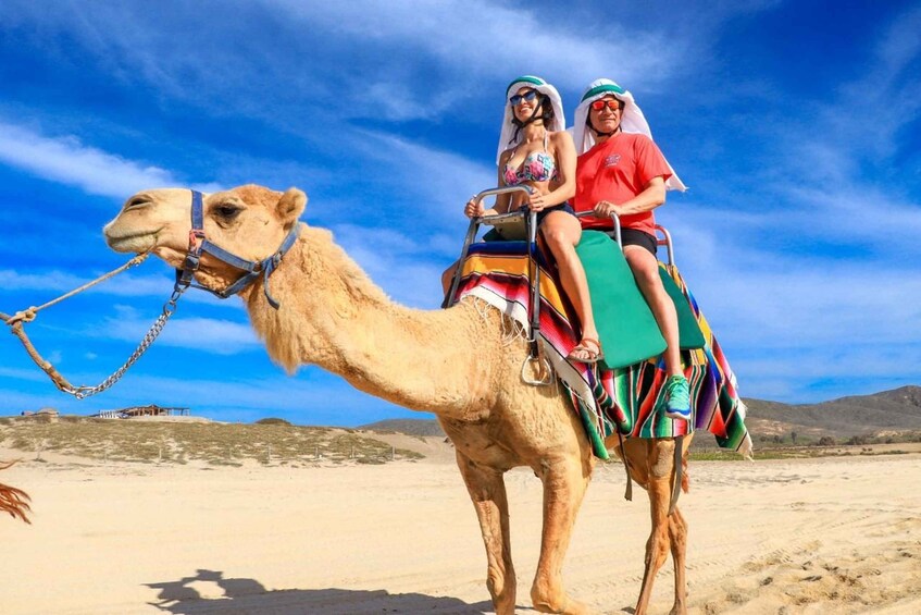 Picture 11 for Activity Cabo San Lucas: Camel Ride & Off-Road UTV Combo Adventure