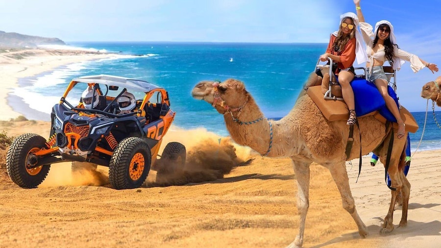 Cabo San Lucas: Camel Ride & Off-Road UTV Combo Adventure
