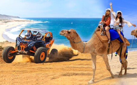 Cabo San Lucas: aventura combinada de paseo en camello y todoterreno en UTV