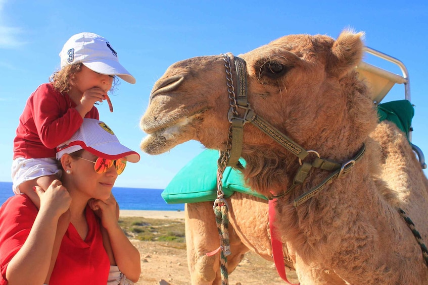 Picture 20 for Activity Cabo San Lucas: Camel Ride & Off-Road UTV Combo Adventure