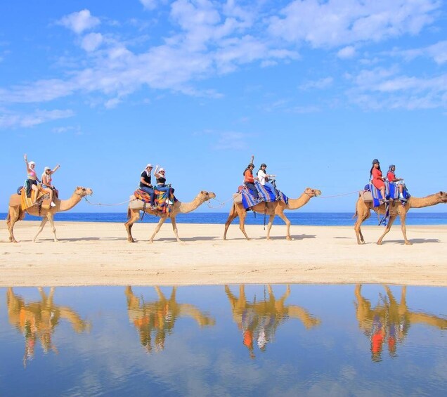 Picture 10 for Activity Cabo San Lucas: Camel Ride & Off-Road UTV Combo Adventure