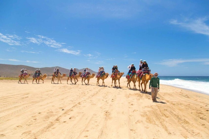 Picture 12 for Activity Cabo San Lucas: Camel Ride & Off-Road UTV Combo Adventure