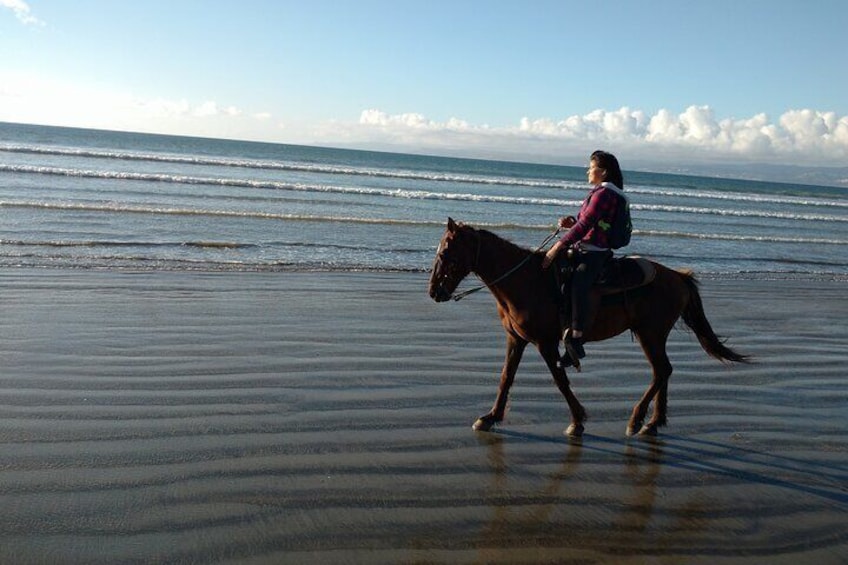 Private excursion to the bufadora and horseback riding on the beach