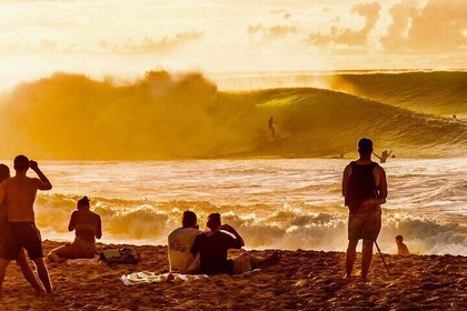 Stunning Views of Oahu! Half-Day to North shore on a Scenic Tour