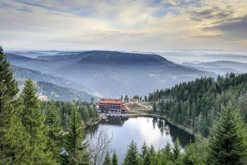 Romantic Black Forest highlights private tour from Frankfurt