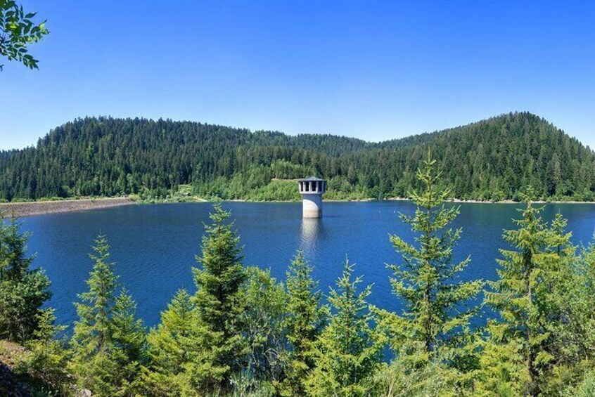 Romantic Black Forest highlights private tour from Frankfurt