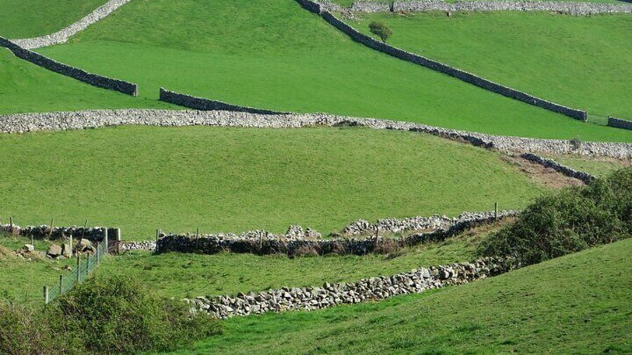 Newgrange and The Hill of Tara Private Tour in Luxury Car