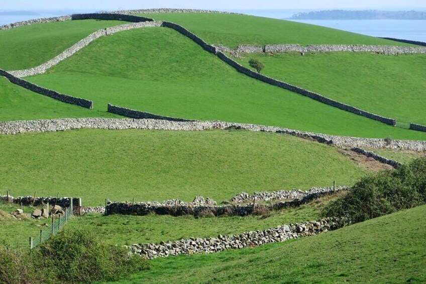 Newgrange and The Hill of Tara Private Tour in Luxury Car