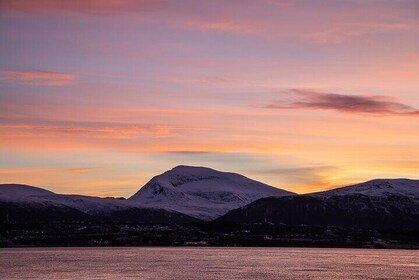 Arctic Landscapes Hiking Tour - Sightseeing & Snowshoeing, Tromsø