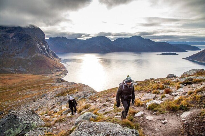 Arctic Landscapes Hiking Tour - Sightseeing & Snowshoeing, Tromsø