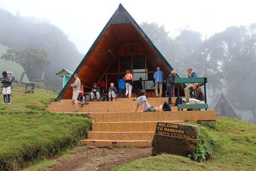 Kilimanjaro Day Hike Through Marangu Route to Mandara Hut