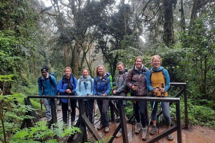 Kilimanjaro Day Hike Through Marangu Route to Mandara Hut