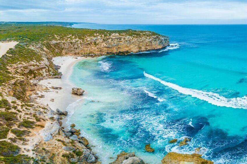 Kangaroo Island Half-Day Tour