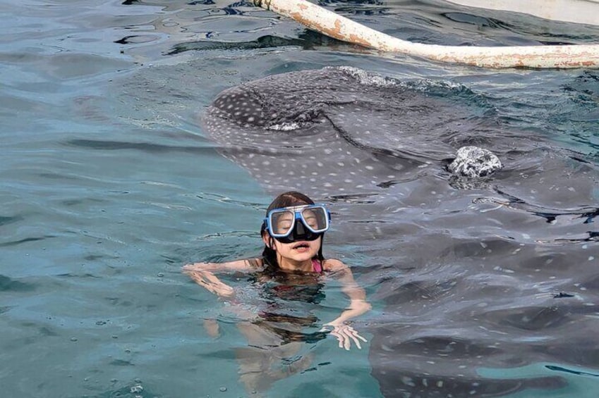 Kid friendly | Swimming with the whalesharks.