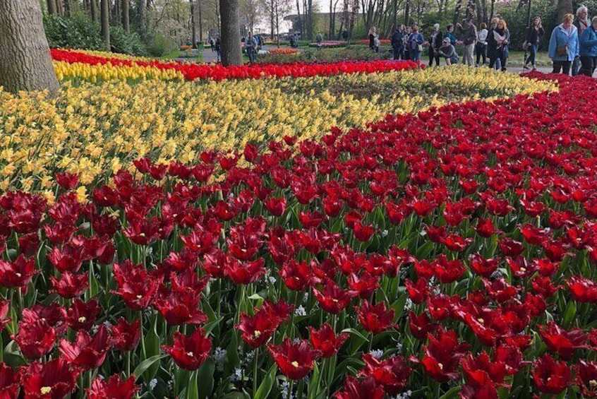 Private Day Tour to Keukenhof Flower Fields and Delft City
