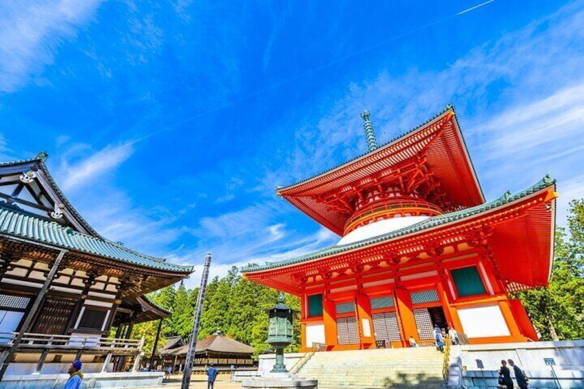Full-Day Private Driving Mt. Koya Tour from Osaka