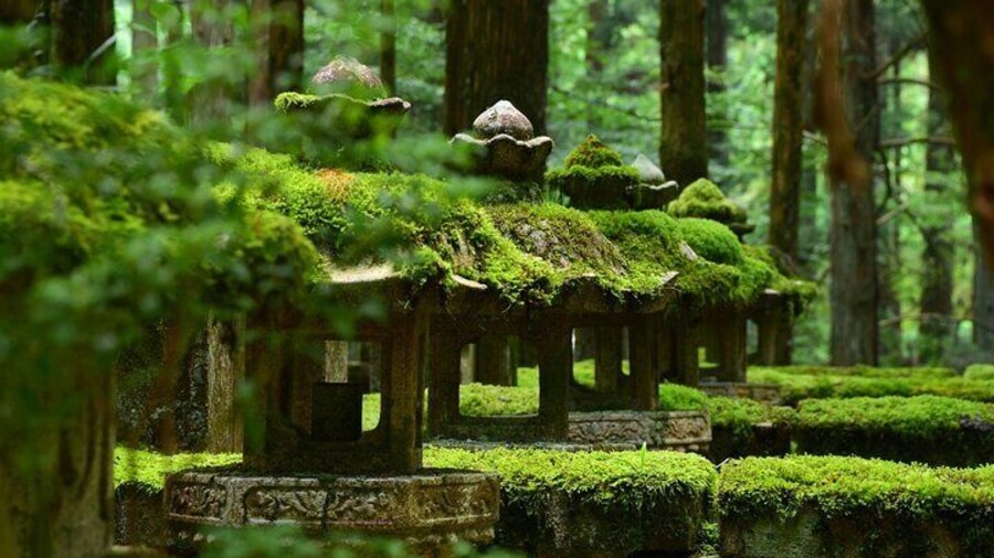 Full-Day Private Driving Mt. Koya Tour from Osaka