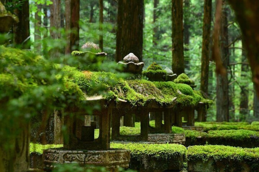 Full-Day Private Driving Mt. Koya Tour from Osaka