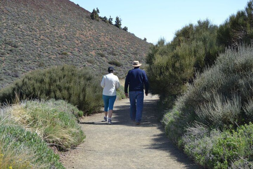 Path on Teide