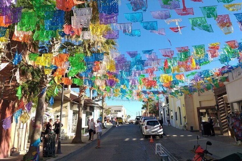 Los Cabos Guided City Tour with visit to The Arch