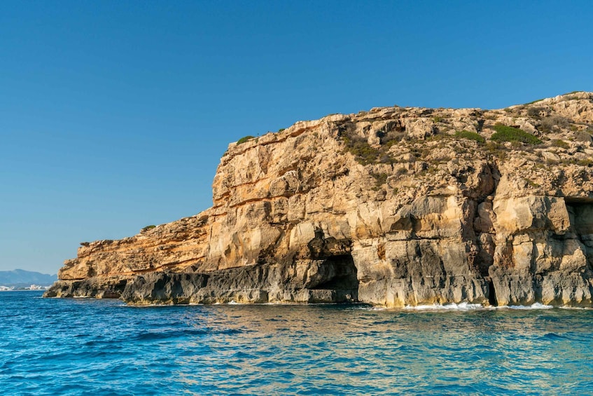 Picture 16 for Activity Palma de Mallorca: 5-Hour Catamaran Cruise with Lunch & Swim