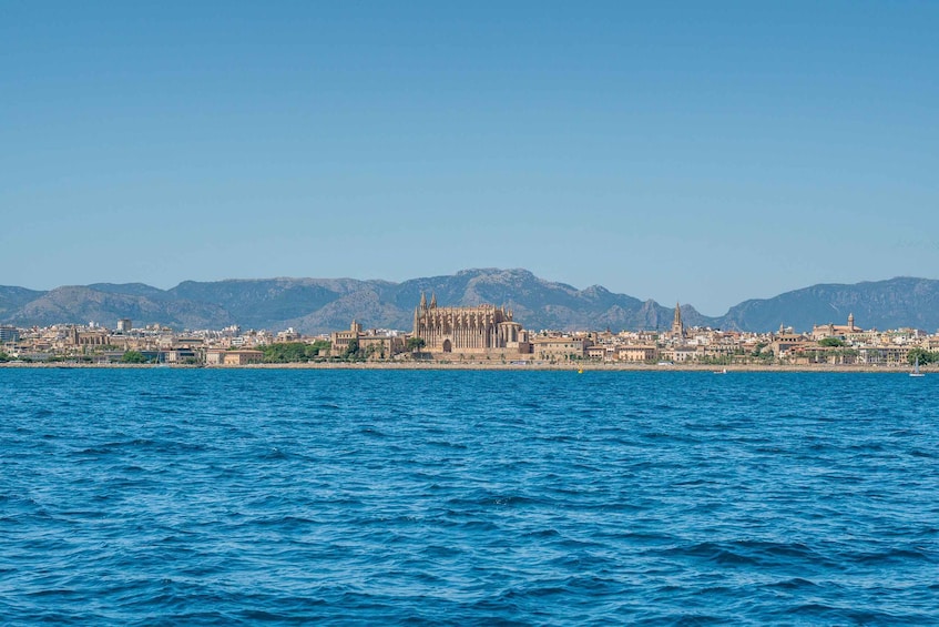 Picture 3 for Activity Palma de Mallorca: 5-Hour Catamaran Cruise with Lunch & Swim