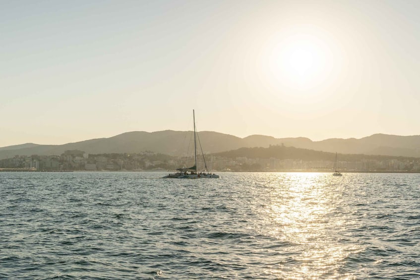 Picture 23 for Activity Palma de Mallorca: 5-Hour Catamaran Cruise with Lunch & Swim