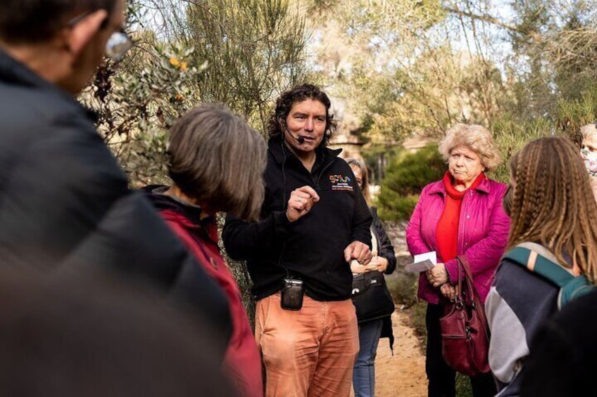 1 Hour Private Cultural Tour of Adelaide Botanic Garden