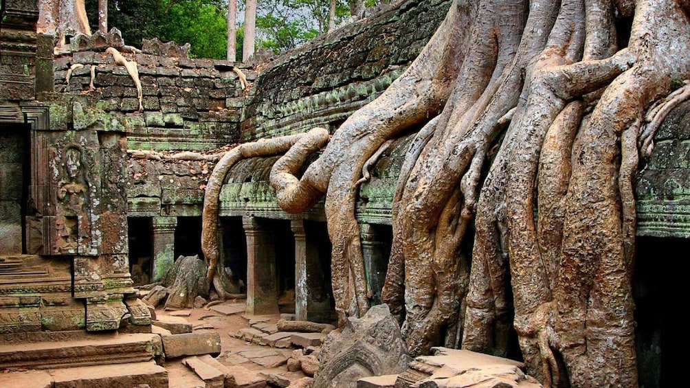 Picture 6 for Activity Siem Reap: 2-Day Angkor Sunrise, Banteay Srey, & Beng Mealea