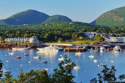 Best of Bar Harbour: 2-Hour Guided Food Walking Tour