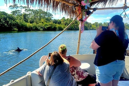 Cocoa Beach 2 Hour Dolphin Sightseeing tour- public