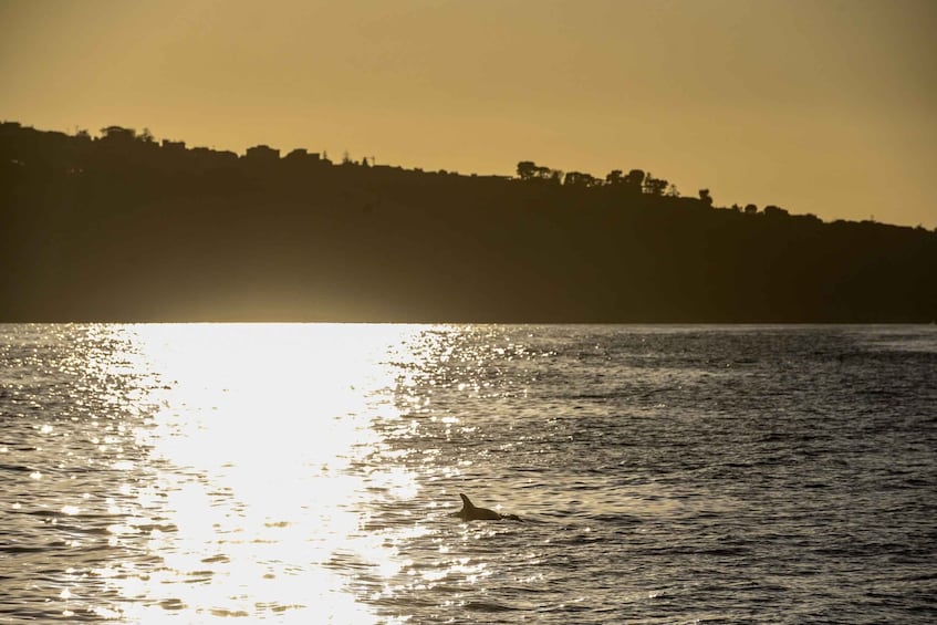 Picture 1 for Activity From Sorrento: Sorrento Coast Sunset Cruise