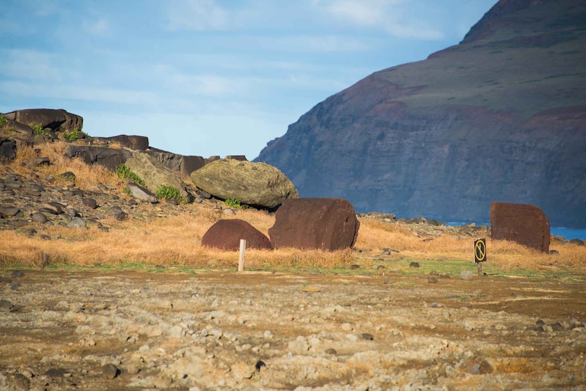 Picture 7 for Activity Easter Island: Small-Group South & East Highlights Tour
