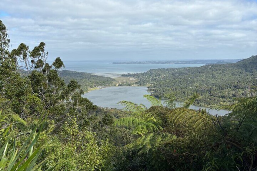 Arataki Visitor Centre