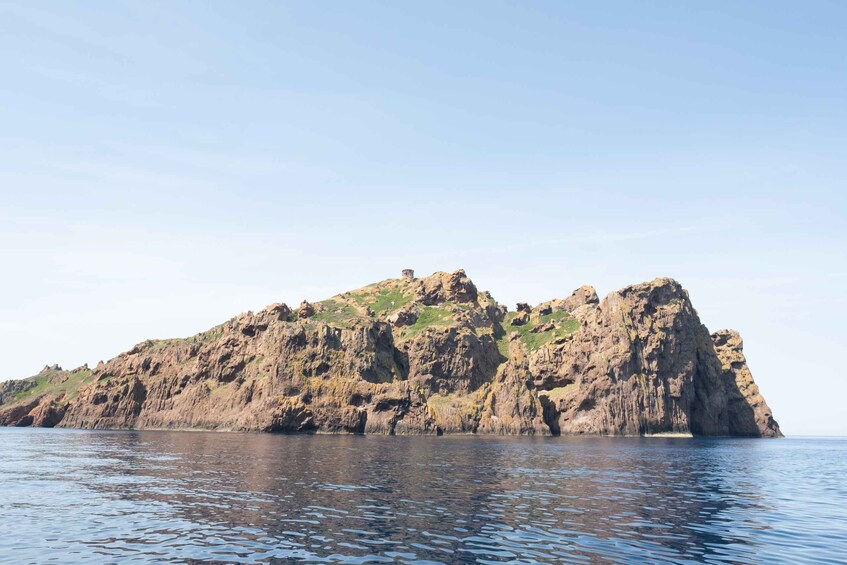Picture 9 for Activity From Porto: Piana Creeks and Scandola Semi-Rigid Boat Tour