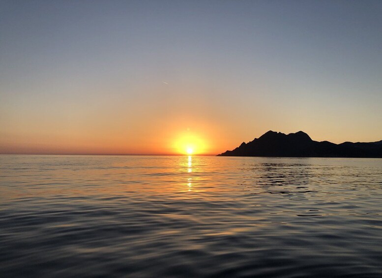 Picture 5 for Activity From Porto: Piana Creeks and Scandola Semi-Rigid Boat Tour