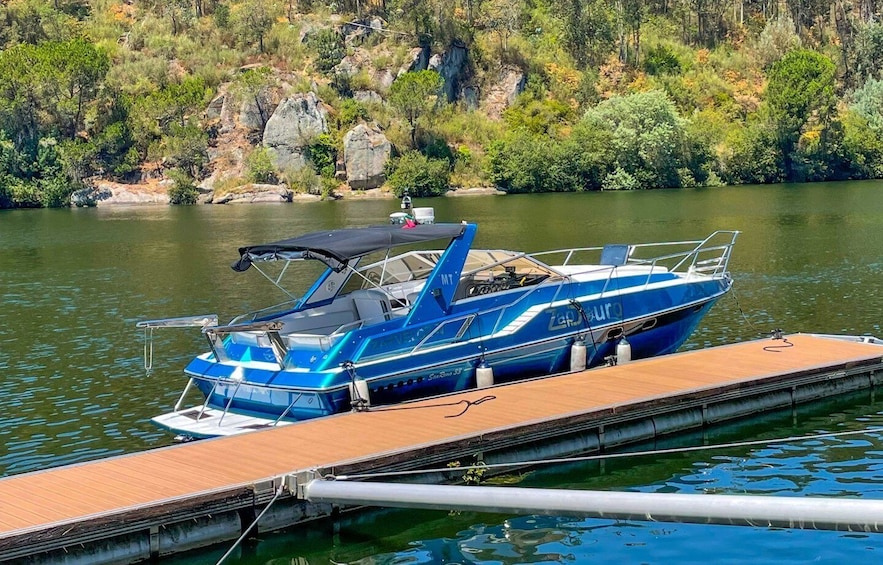 Picture 3 for Activity Porto: Douro River Private Small Group Boat Tour