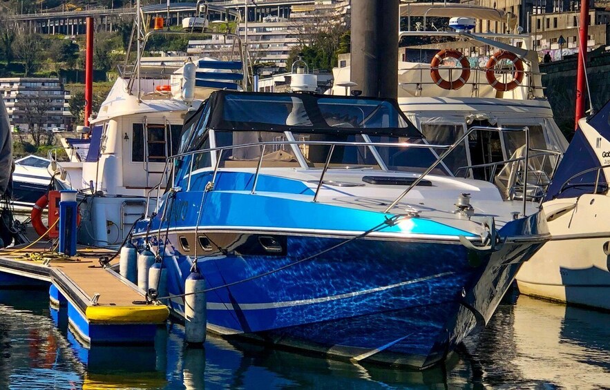 Porto: Douro River Private Small Group Boat Tour